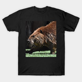 North American Beaver T-Shirt